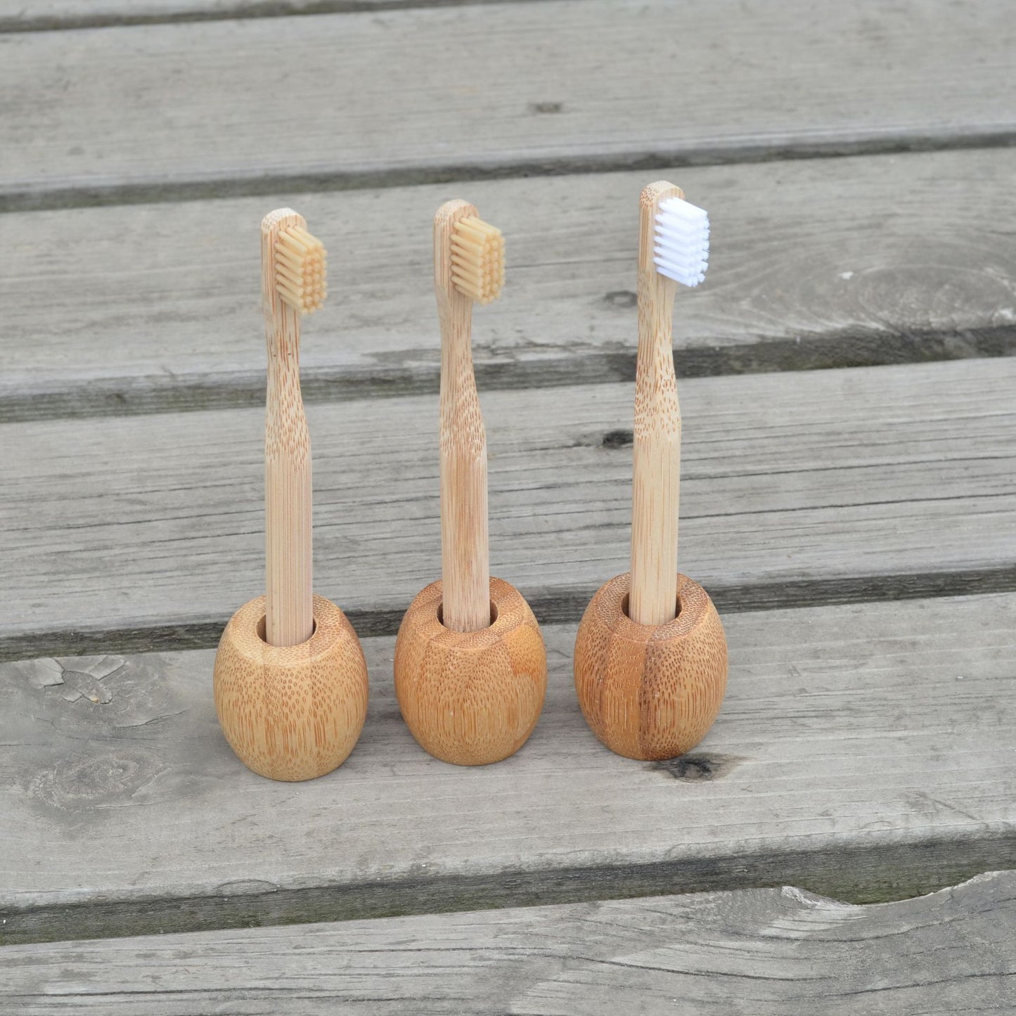 Tooth Brush Holder